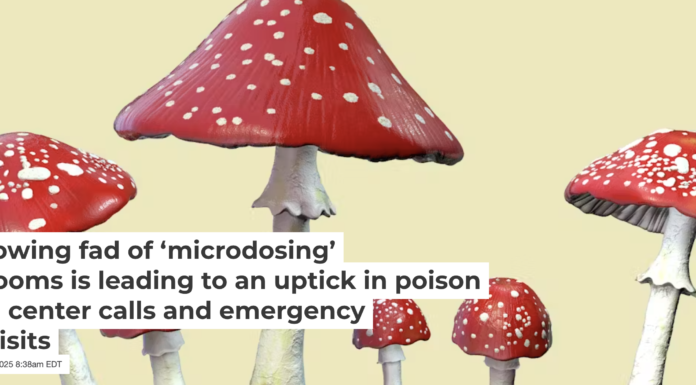 Amanita mushrooms are commonly used in mushroom-based products. Kateryna Kon/Science Photo Library via Getty Images